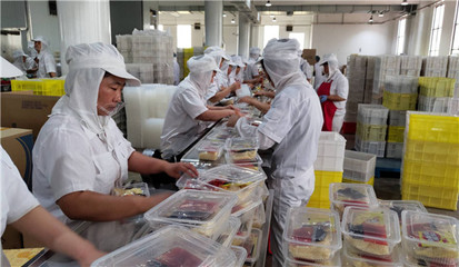 漯河 做强主食产业，构建完善食品产业生态与互联网销售新格局